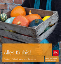 Alles Kürbis
