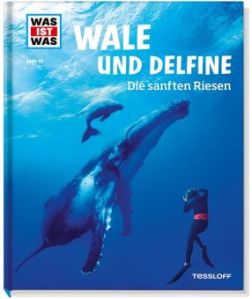 Wale und Delfine