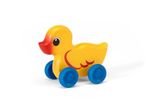 30311_Mini_Duck_shadow