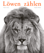 Löwen zählen