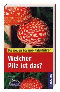 Welcher Pilz ist das