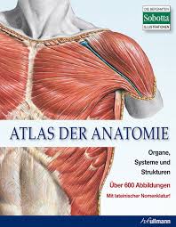 atlas-der-anatomie
